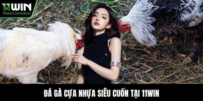 Đá gà cựa nhựa siêu cuốn tại 11WIN
