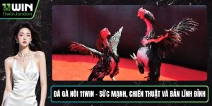 Đá Gà Nòi 11WIN – Sức Mạnh, Chiến Thuật Và Bản Lĩnh Đỉnh Cao