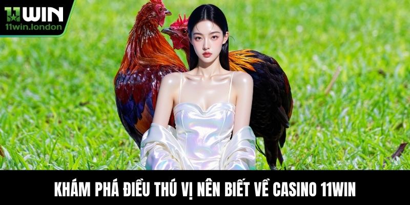 Khám phá điều thú vị nên biết về Casino 11WIN