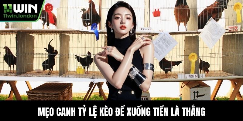 Mẹo canh tỷ lệ kèo để xuống tiền là thắng