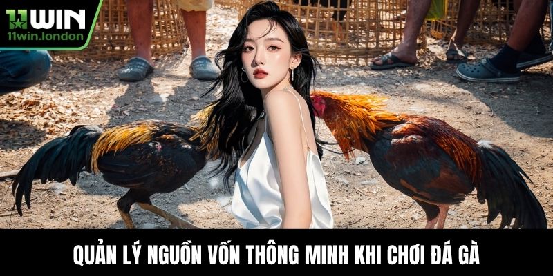Quản lý nguồn vốn thông minh khi chơi đá gà