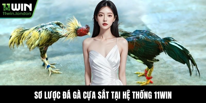 Sơ lược Đá Gà Cựa Sắt tại hệ thống 11WIN