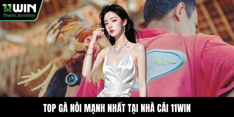 Top gà nòi mạnh nhất tại nhà cái 11WIN